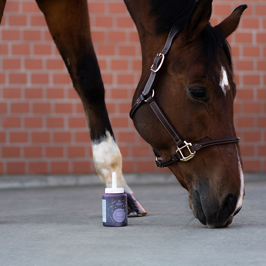 Speed hoof oil lavender sfeer 1