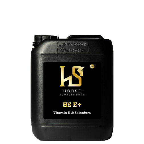 HS E+ 5L