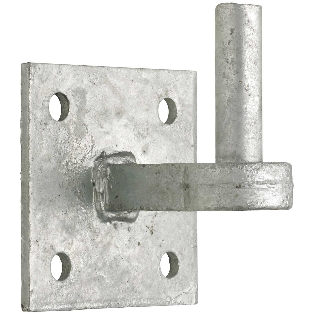 Plaque de pouce Perry 19mm galvanisée