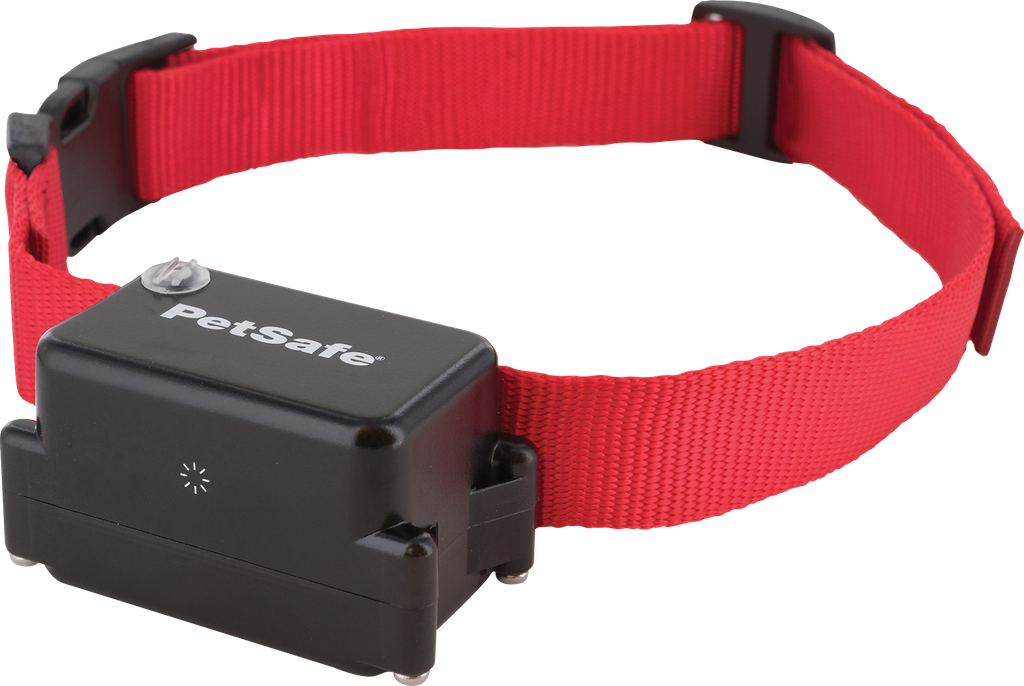 Collier récepteur Petsafe pour chiens têtus