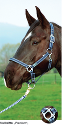 Halter Premium padded